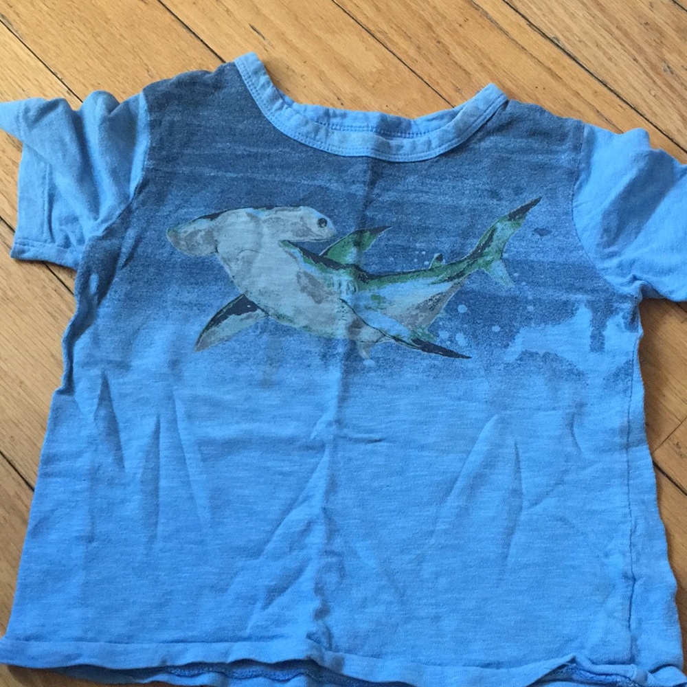 Shark 🦈 tee